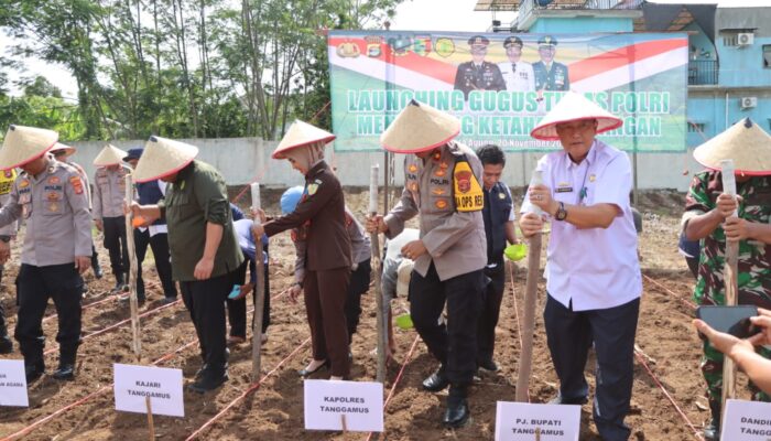 Dukung Ketahanan Pangan, Polres Tanggamus Tanam Jagung Unggul di Areal Satpas SIM