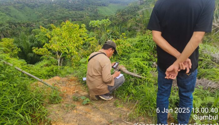 KPH DLHK Dihadirkan Imbas Pengrusakan Kebun Sawit di Batang Gansal