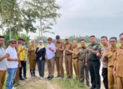 Lesty Putri Utami Cek Penanganan Banjir di Lamsel